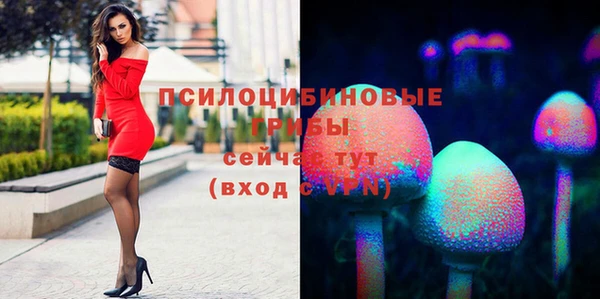 дмт Армянск